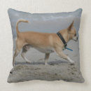 Buscar perros agua cojines Sacudida y pam langrish