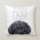 Buscar caniches cojines Negro