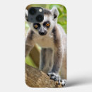 Buscar lemur fundas Adorable