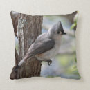 Buscar titmouse copetudo Pájaro