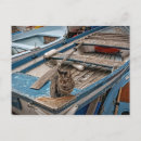 Buscar cat postales Gatito