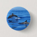 Buscar delfínes chapas Para todos