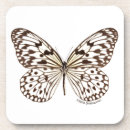 Buscar castaña fotografía Mariposa