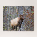 Buscar cremallera puzzles Caza
