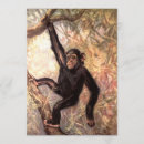 Buscar chimpancé invitaciones Zoológico