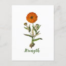 Buscar marismas tarjetas Flores