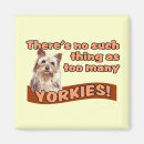 Buscar terrieres de yorkshire imanes Yorky