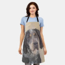 Buscar cola delantales Perro