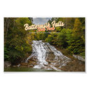 Buscar batidos de leche posters Naturaleza