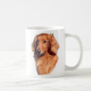 Buscar de largo tazas Dachshund