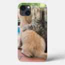 Buscar gatos ipad fundas Gatitos