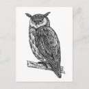 Buscar zen tangle postales Búho