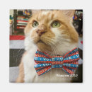 Buscar cats imanes Kitty