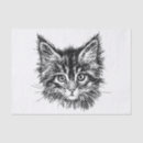 Buscar gato blanco y negro papel de seda Felino