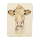 Buscar ranchos imanes Vacas