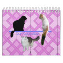 Buscar gatos de tabby calendarios Felinos