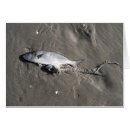 Buscar salmonetes Océano