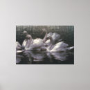 Buscar cisnes lienzos Lago