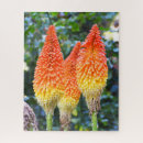 Buscar flores rojas puzzles General y unisex