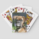 Buscar headshot barajas de cartas Fotógrafo canino