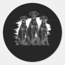 Buscar doberman pegatinas Animal
