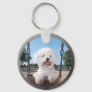 Buscar bichon frise llaveros Animal