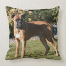 Buscar perros del boxeador cojines Cervatillo