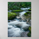 Buscar tronco posters Musgo