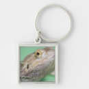 Buscar lagarto llaveros Frío blooded