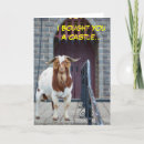 Buscar castillo tarjetas Animal