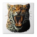 Buscar cabeza animal azulejos Vida silvestre