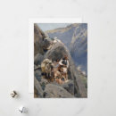 Buscar apache tarjetas Nativo americano