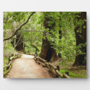 Buscar garras placas fotograbadas Paisaje