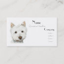 Buscar westie tarjetas de visita Perro