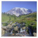 Buscar np azulejos Usa