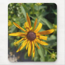 Buscar susan alfombrillas de raton Rudbeckia