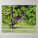 Buscar orgullo nacional posters Libertad