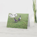Buscar burlas tarjetas General y unisex