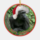 Buscar gorilas adornos Salvaje