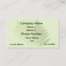 Buscar helecho tarjetas de visita Plantas