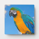 Buscar pájaro placas fotograbadas Animal