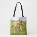 Buscar konik Caballo