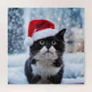 Buscar gatos blancos y negros puzzles 9 º gata