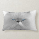 Buscar gato gruñón cojines Animal