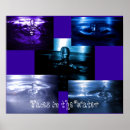 Buscar gotas de agua posters Macro