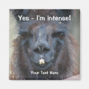 Buscar llama imanes Para ella