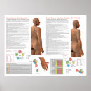 Buscar acupuntura posters Holístico