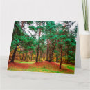 Buscar mixtas tarjetas Árbol