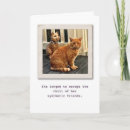 Buscar amigos reales tarjetas Para todos