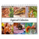 Buscar ardillas lindas calendarios Bosque